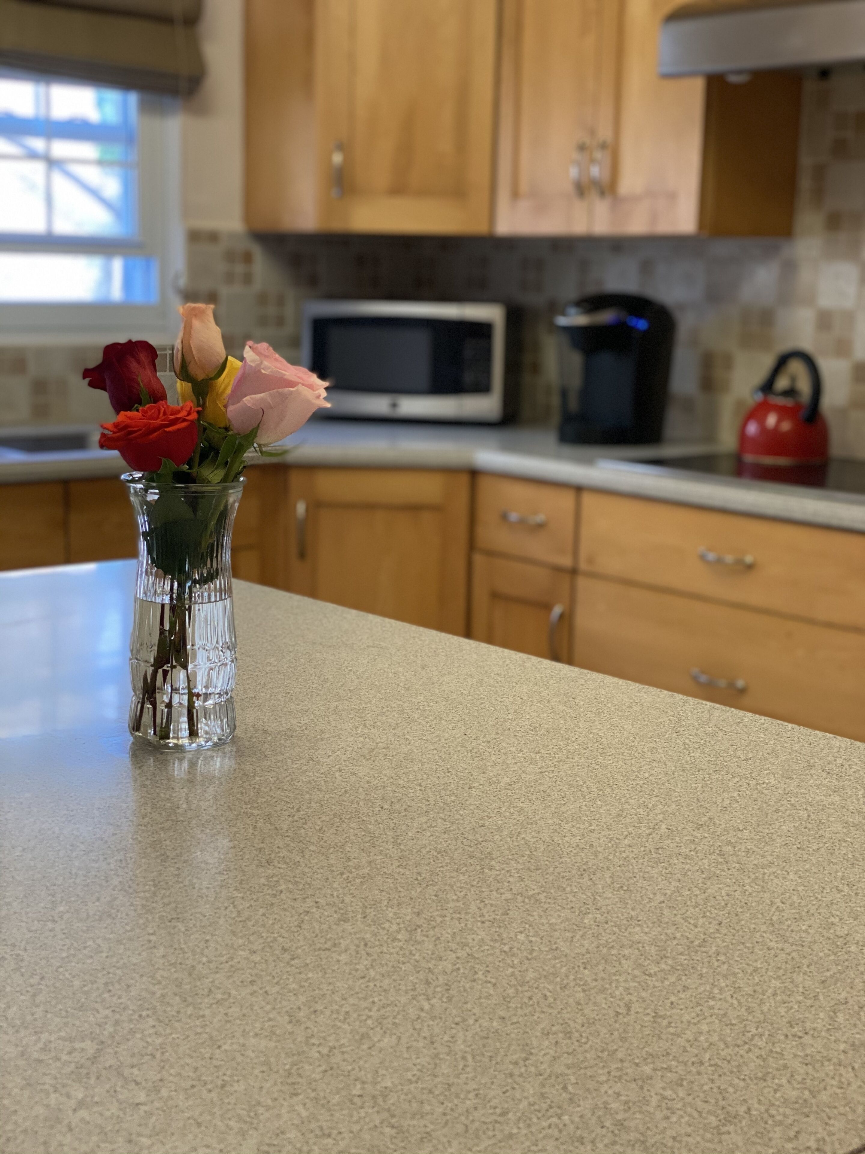 Kylskåp, mikrovågsugn, ugn och spishäll