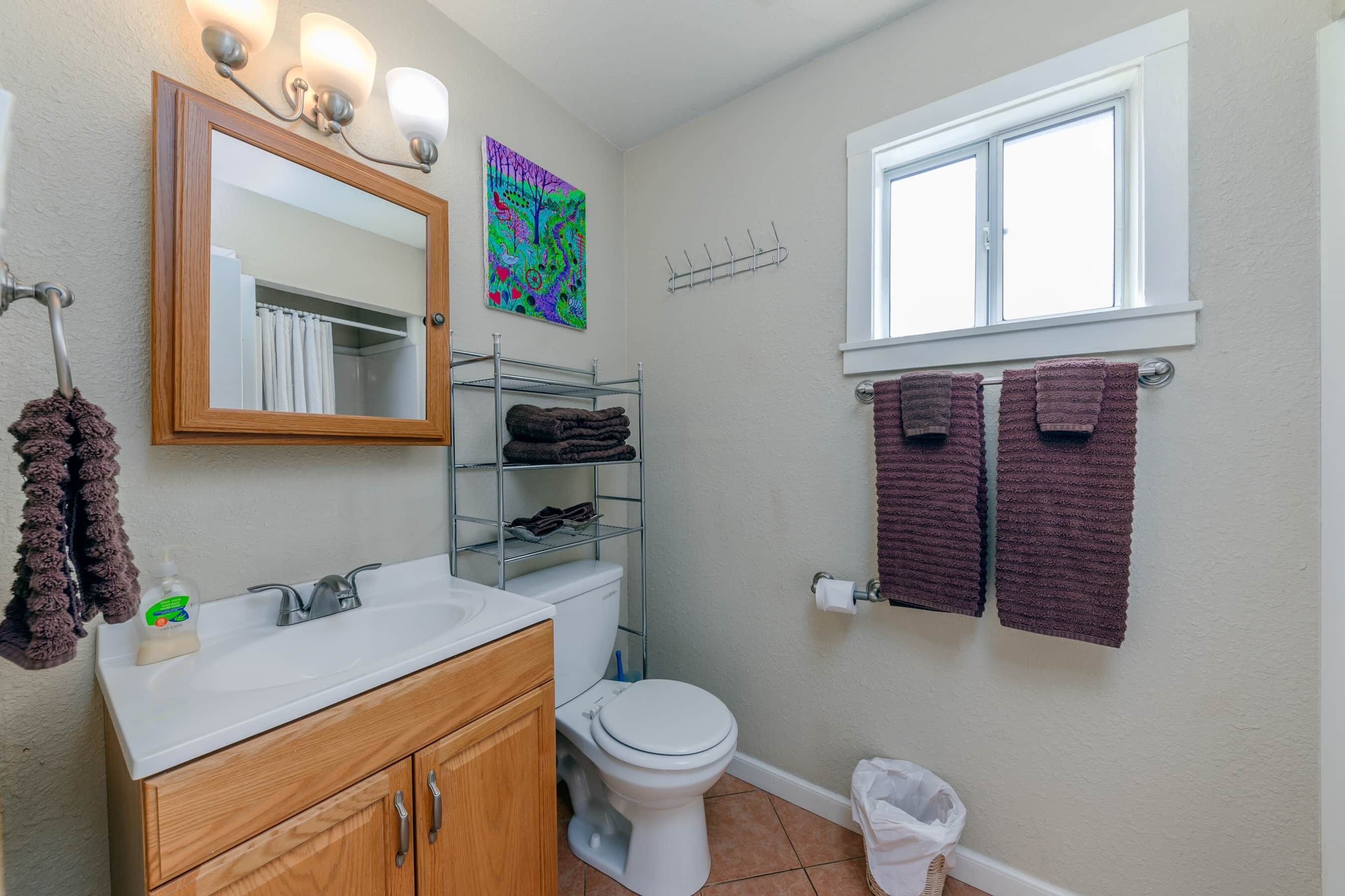 Bathtub, hair dryer, towels, soap