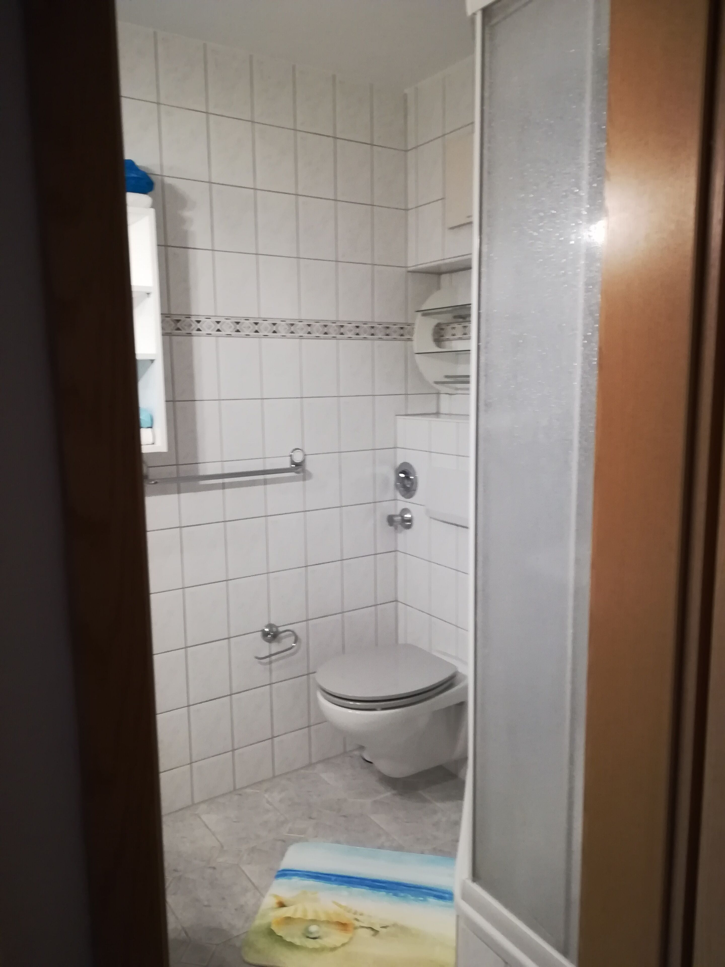 Et lille badeværelse med fliser, toilet, håndklædestang og et hyldesæt med toiletartikler.