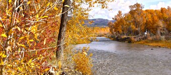The Grove Yurt is on the North Fork River with outdoor kitchen 2 miles to Paonia