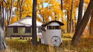 Une cabane rustique avec une petite dépendance attenante, entourée d’arbres aux feuilles d’automne.