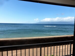 Property grounds - Oceanfront, adjacent to North Ka'anapali Beach, Central A/C! Newly reduced rates (Lahaina)