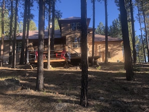 Property grounds - Indoor basketball, ping pong, shuffleboard and more! (Angel Fire)