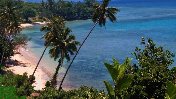 A tropical beach with palm trees and clear blue water. - Makaira Resort (Taveuni Island East)
