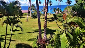 A tropical landscape with palm trees, a grassy area, and a view of the ocean. - Makaira Resort (Taveuni Island East)