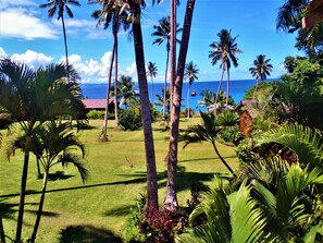 Property grounds - Makaira Resort (Taveuni Island East)