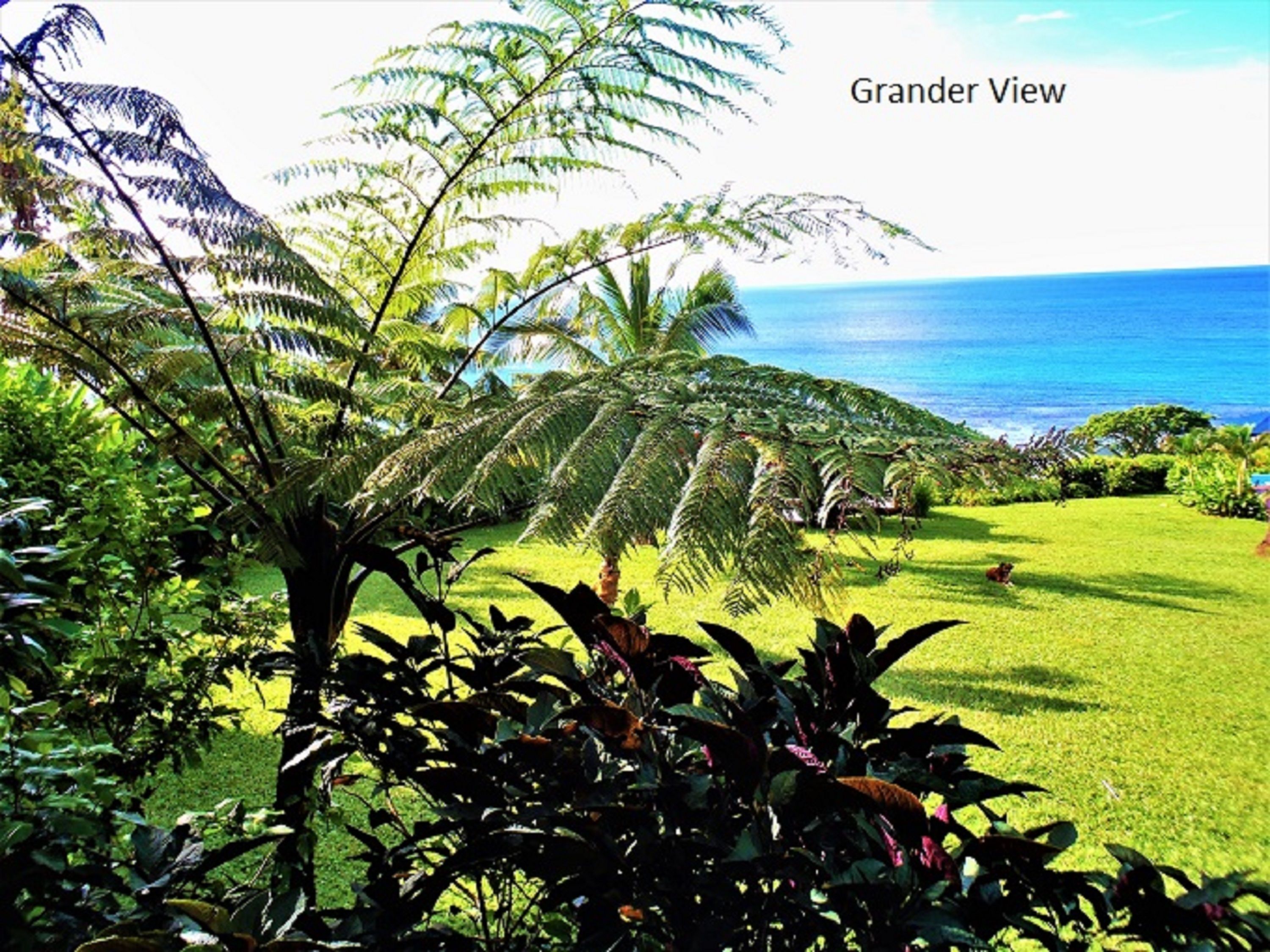 A tropical landscape with a view of the ocean, palm trees, and lush greenery.
