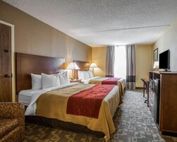 1 habitación, escritorio, cortinas blackout y sistema de insonorización 