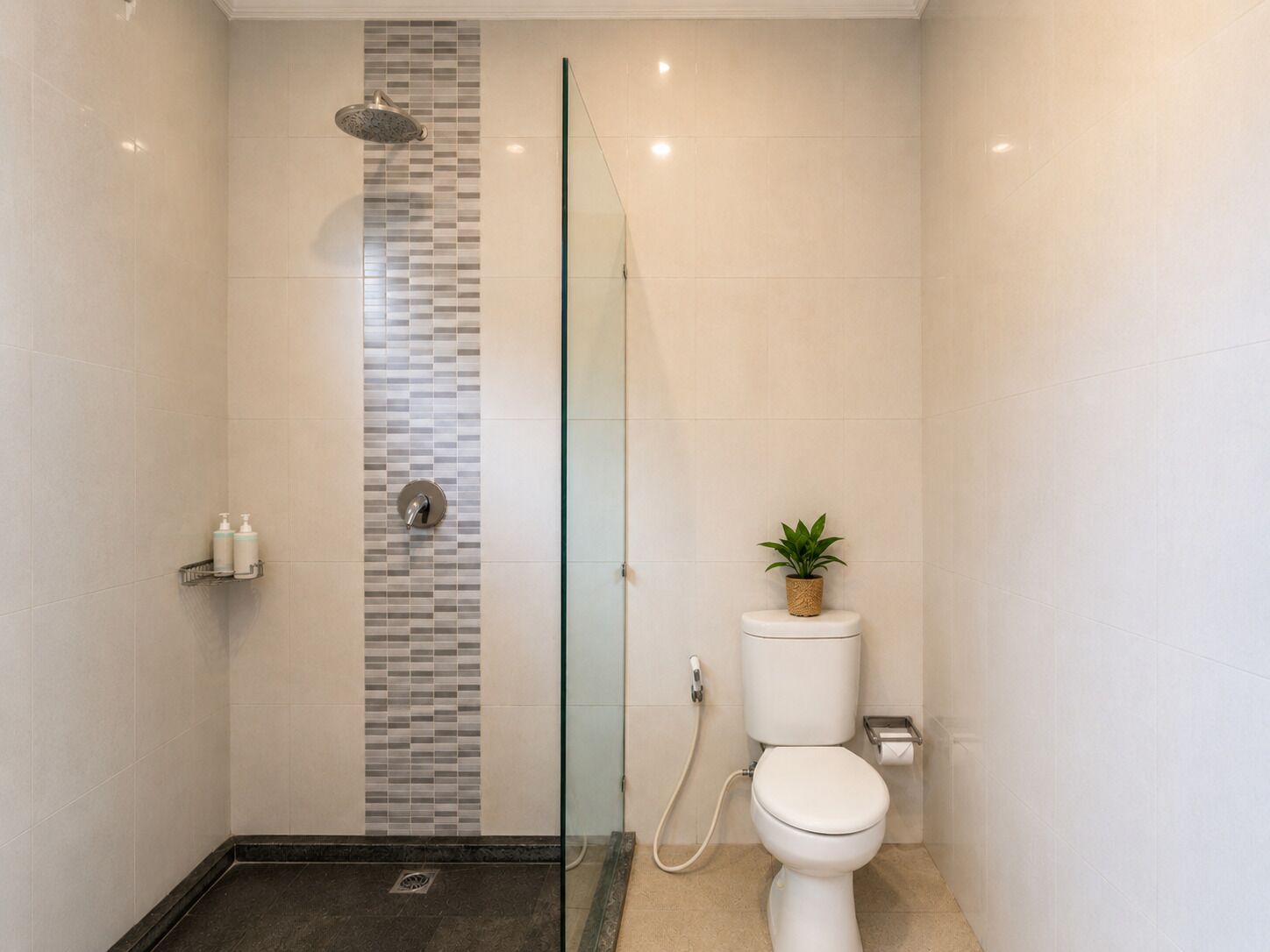 Un baño moderno con ducha acristalada, inodoro y una pequeña planta en maceta.
