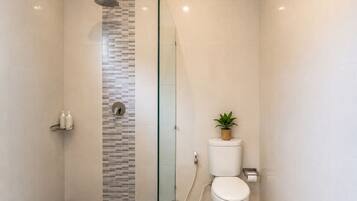 A modern bathroom with a glass-enclosed shower, a toilet, and a small potted plant.