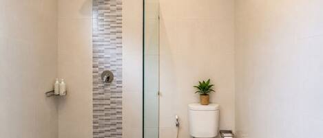 Un baño moderno con ducha acristalada, inodoro y una pequeña planta en maceta.