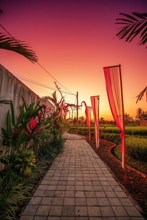 Utsikt fra overnattingsstedet