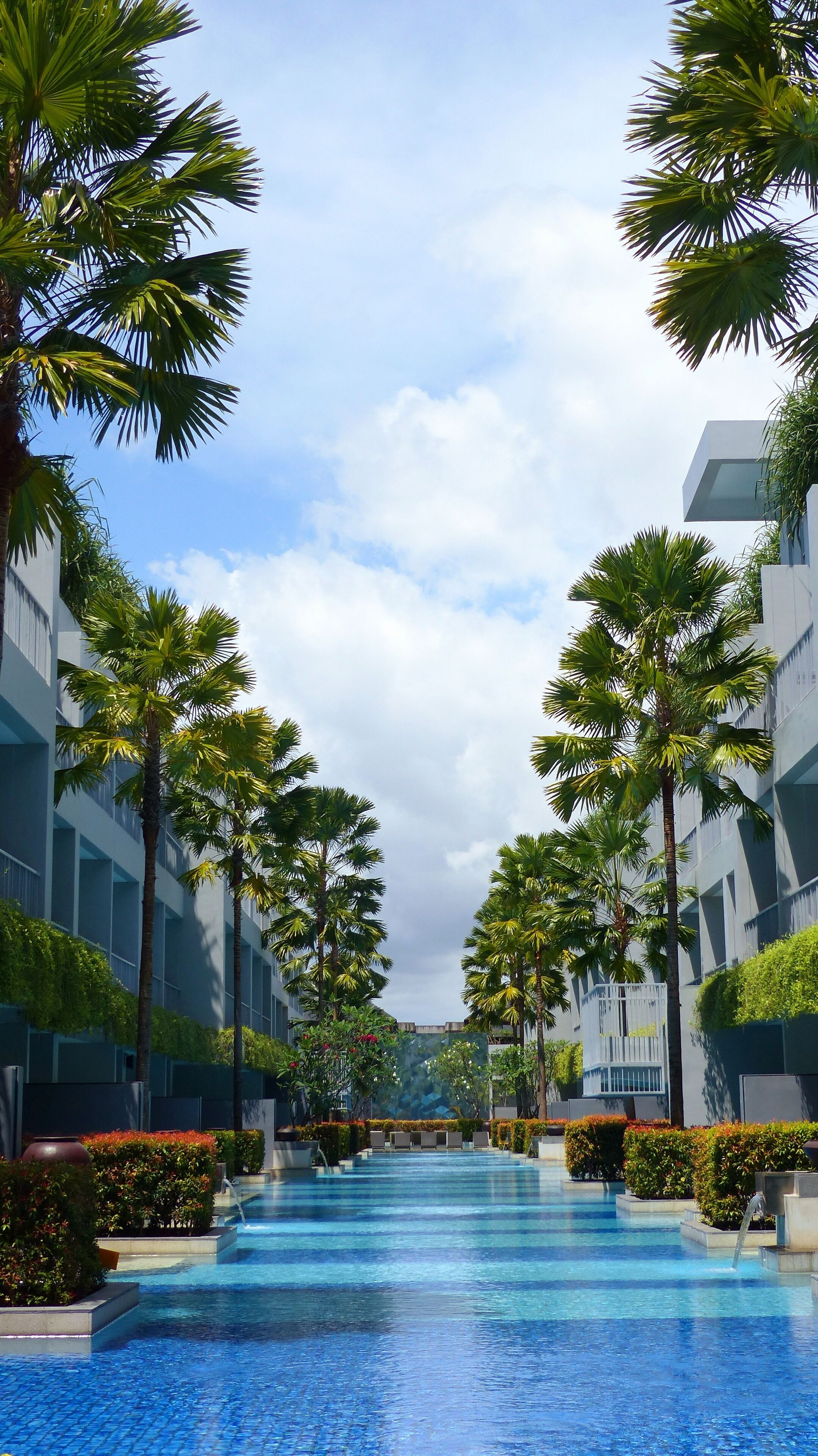 outdoor pool, pool loungers