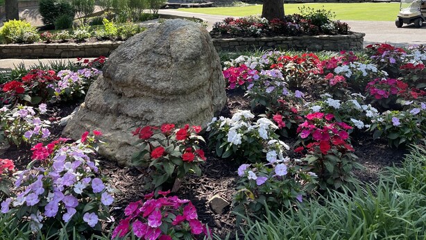 A landscaped garden with a large rock centerpiece, flowering plants, and a view of a golf course in the background.