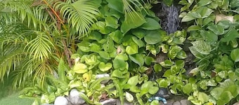 Portmore Country Club Elegance