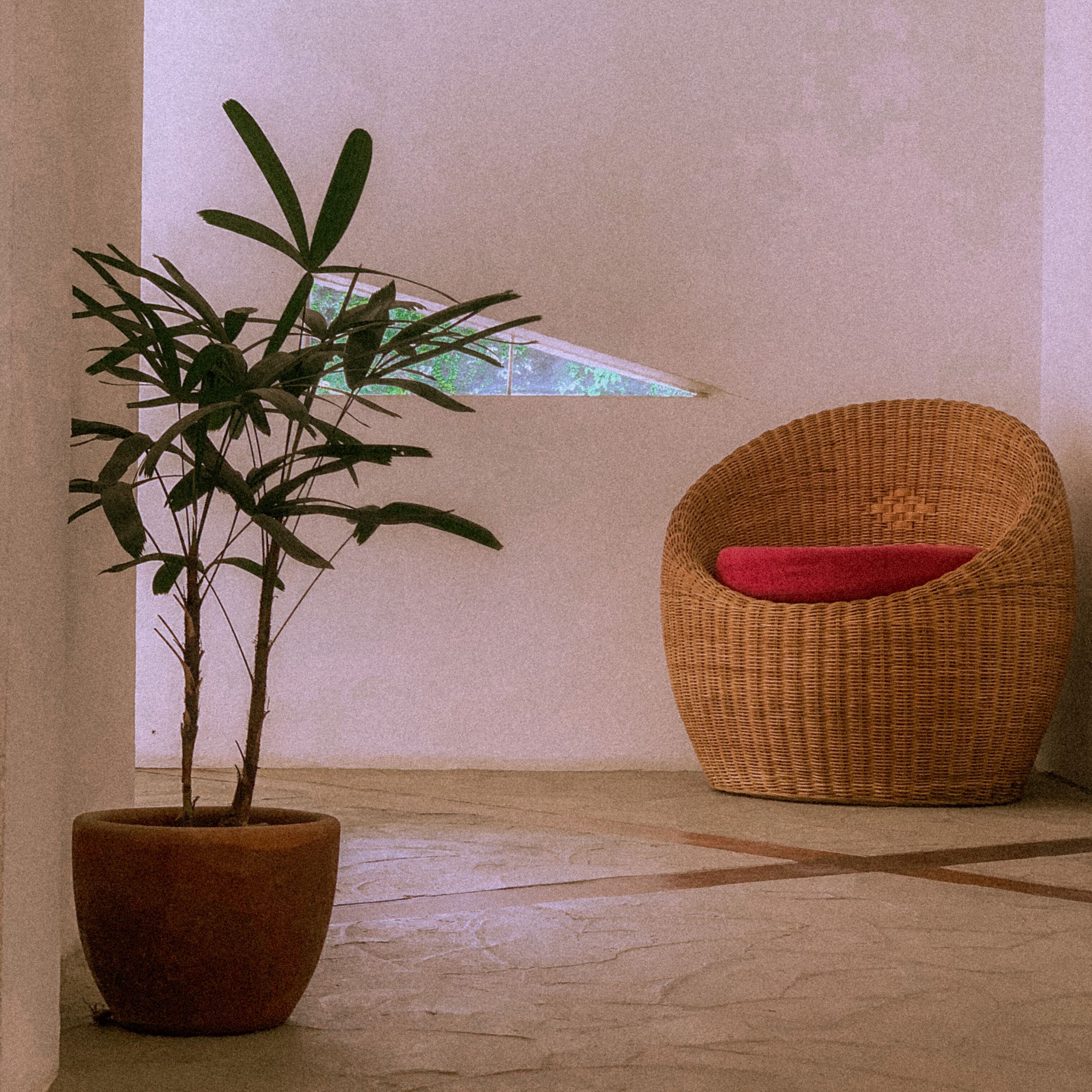 Photo - El Nido Moringa Resort