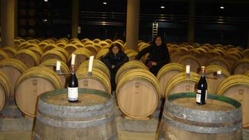 Una bodega con hileras de barriles de madera, algunos con botellas encima.