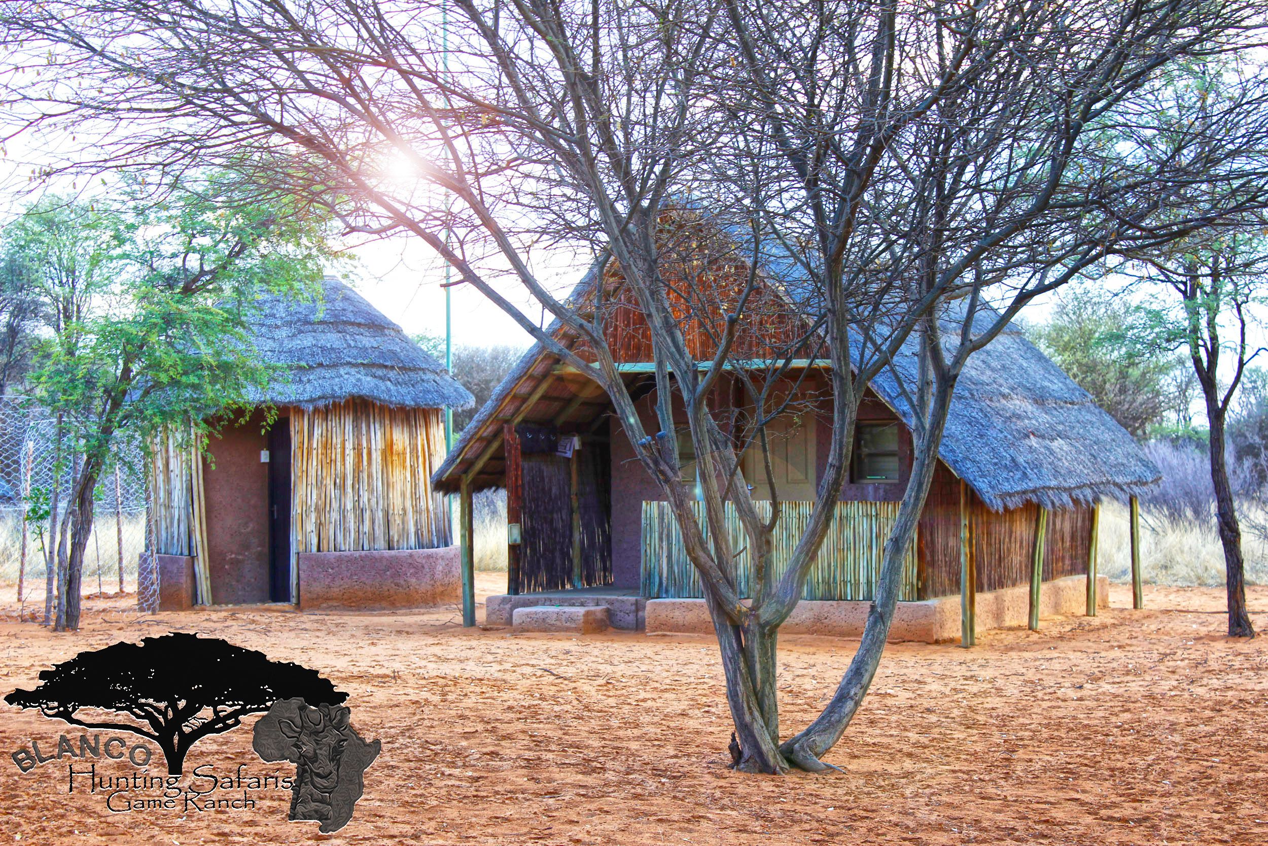 A thatched-roof building with a wooden door and window, surrounded by trees and a sandy ground.