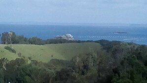 A coastal landscape with a grassy hill, trees, and a body of water in the distance.
