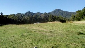 A grassy field with a mountain in the background.