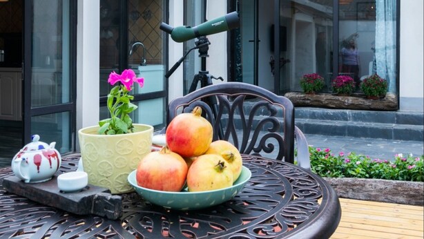 Une table avec un télescope, une plante en pot, un saladier de fruits et une théière, le tout placé sur une terrasse.