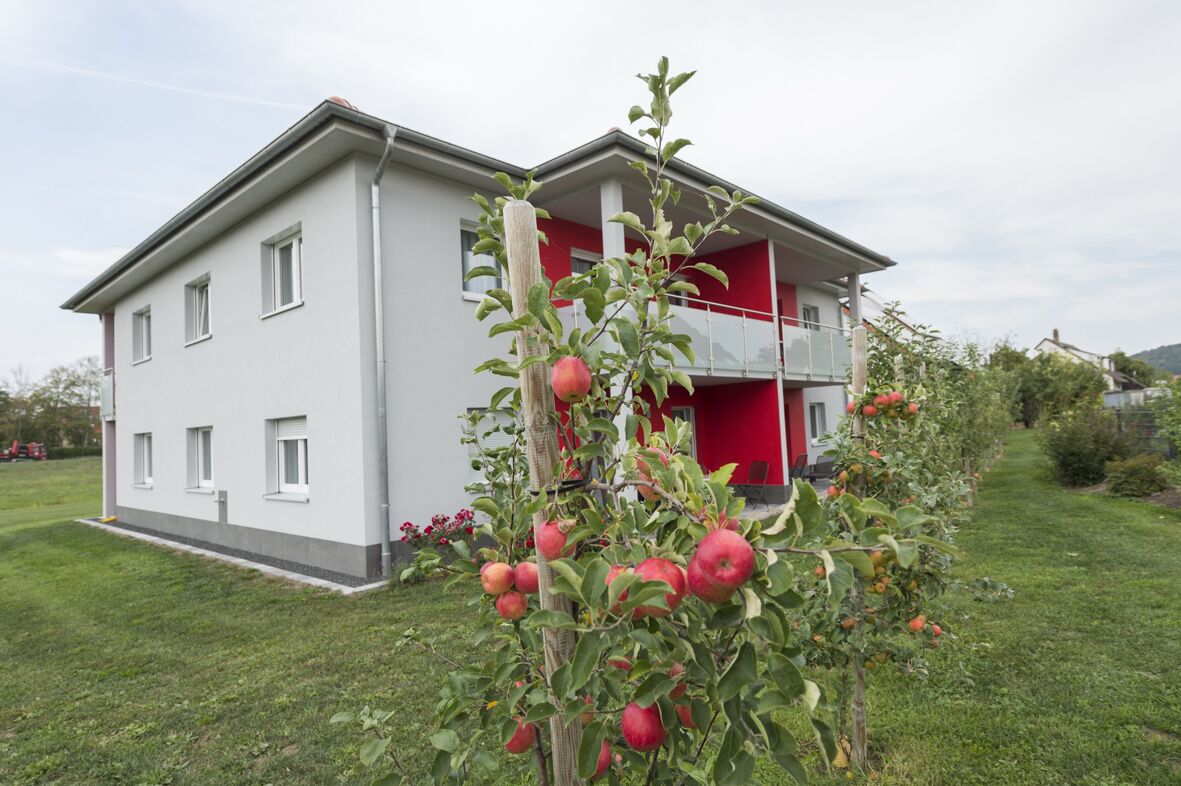Una casa de dos pisos con un balcón, rodeada de un césped y manzanos.