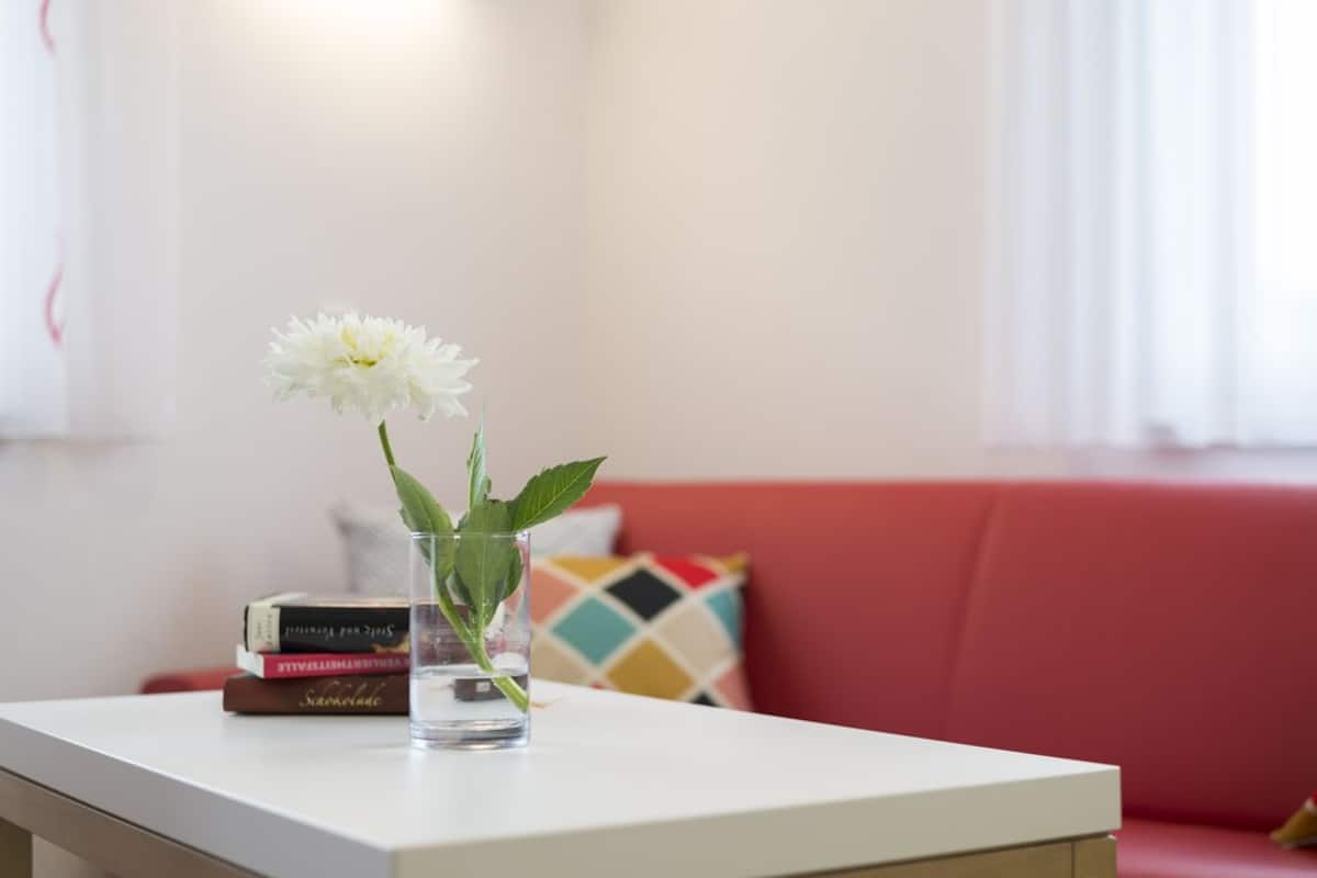 apartment, garden view (22 - behindertengerecht) | desk, laptop workspace, soundproofing, free wifi