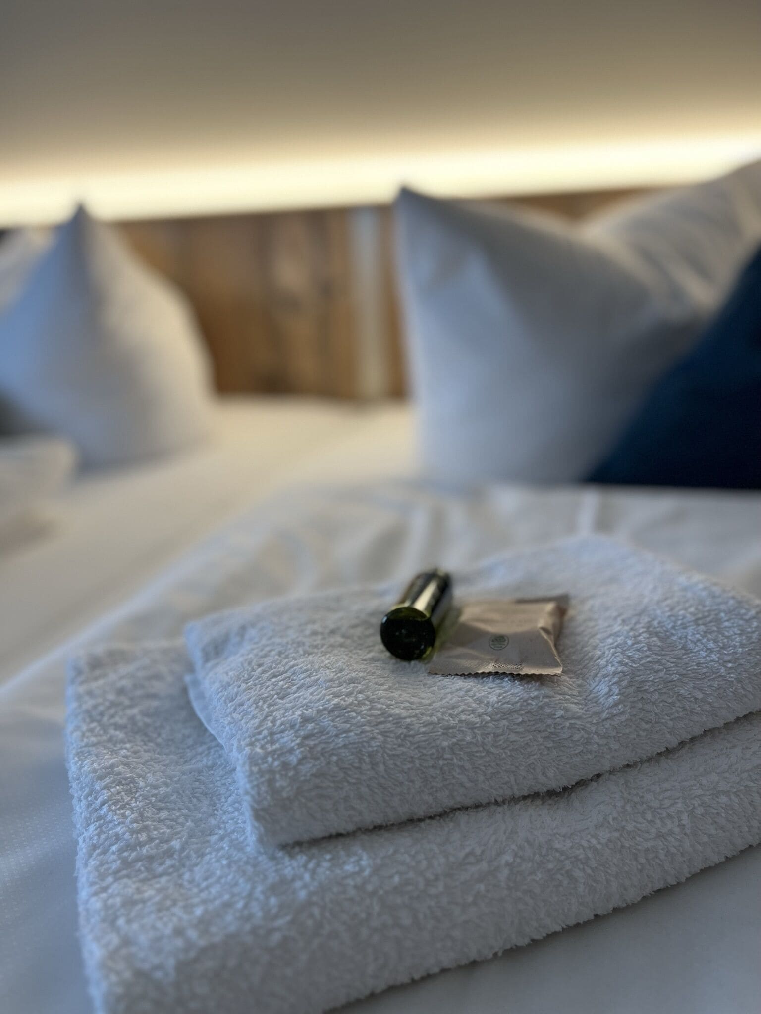 family suite (nr. 5 großzügig) | desk, laptop workspace, soundproofing, free wifi