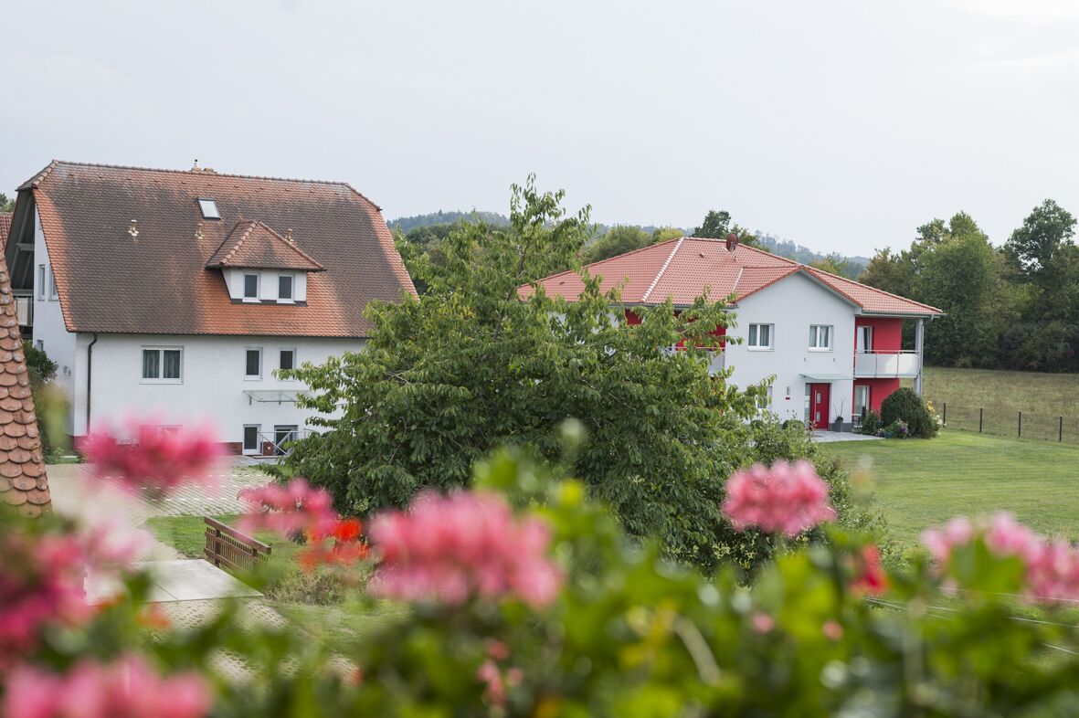 Dos casas con tejados rojos, rodeadas de follaje y flores rosadas.