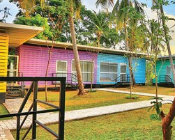 A colorful building with a purple, blue, and yellow exterior, surrounded by trees and a paved pathway.