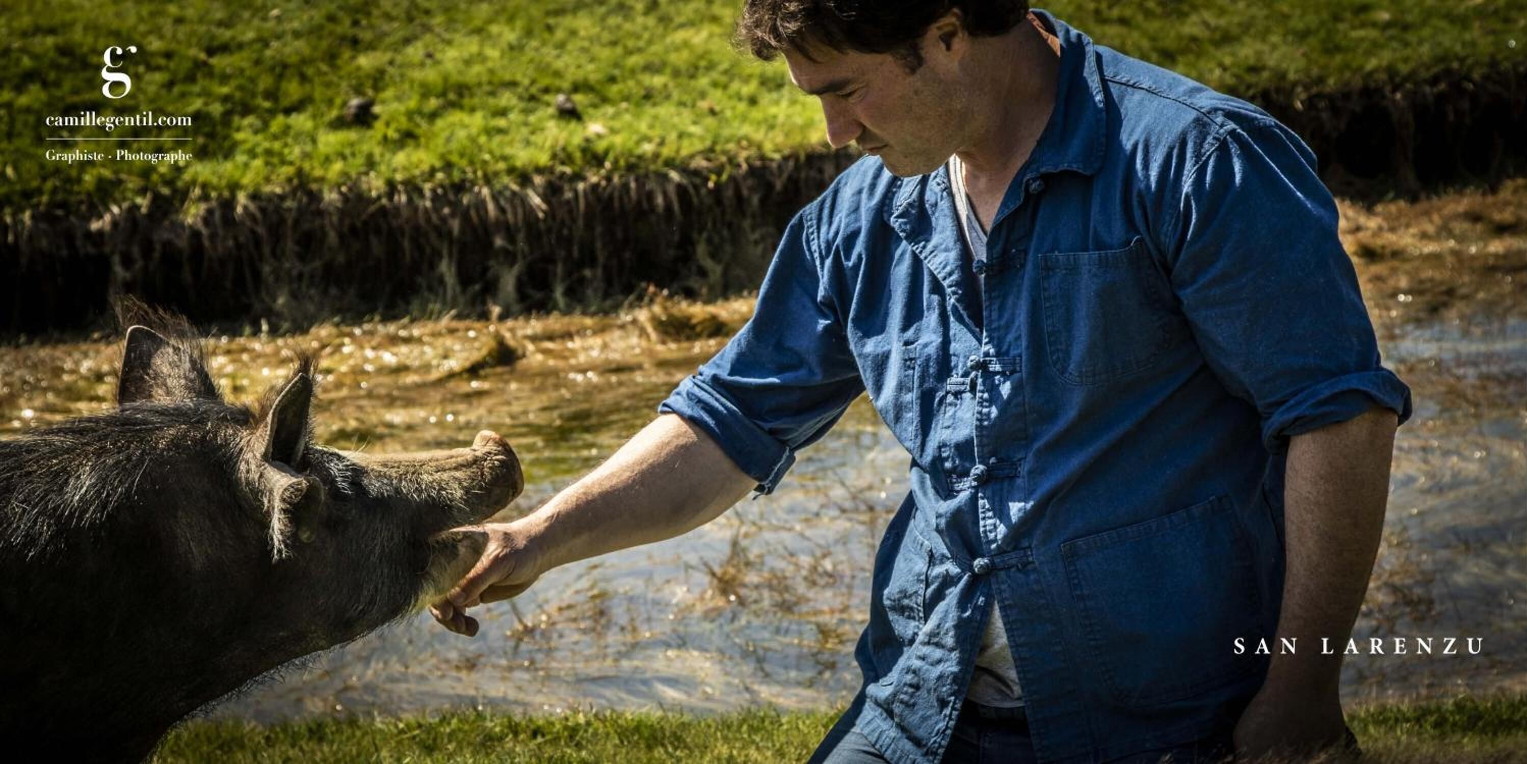 A person in a blue shirt interacting with a horse near a body of water.