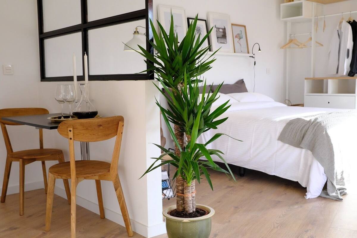 A bedroom with a bed, a bedside table, a chair, a potted plant, and a wall with framed pictures.