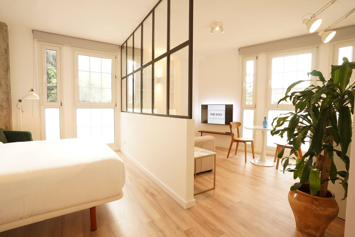 A modern hotel room with a bed, a desk, a chair, a TV, and a large potted plant.