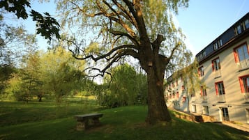 Un árbol grande en una zona con césped, un banco de piedra, un edificio con ventanas y balcones de marco rojo, y un cielo despejado.
