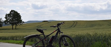A bicycle parked on a rural road with a field and a tree in the background.