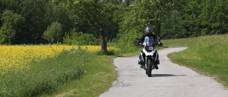 Un motocycliste circule sur une route asphaltée, bordée de verdure et de fleurs jaunes.