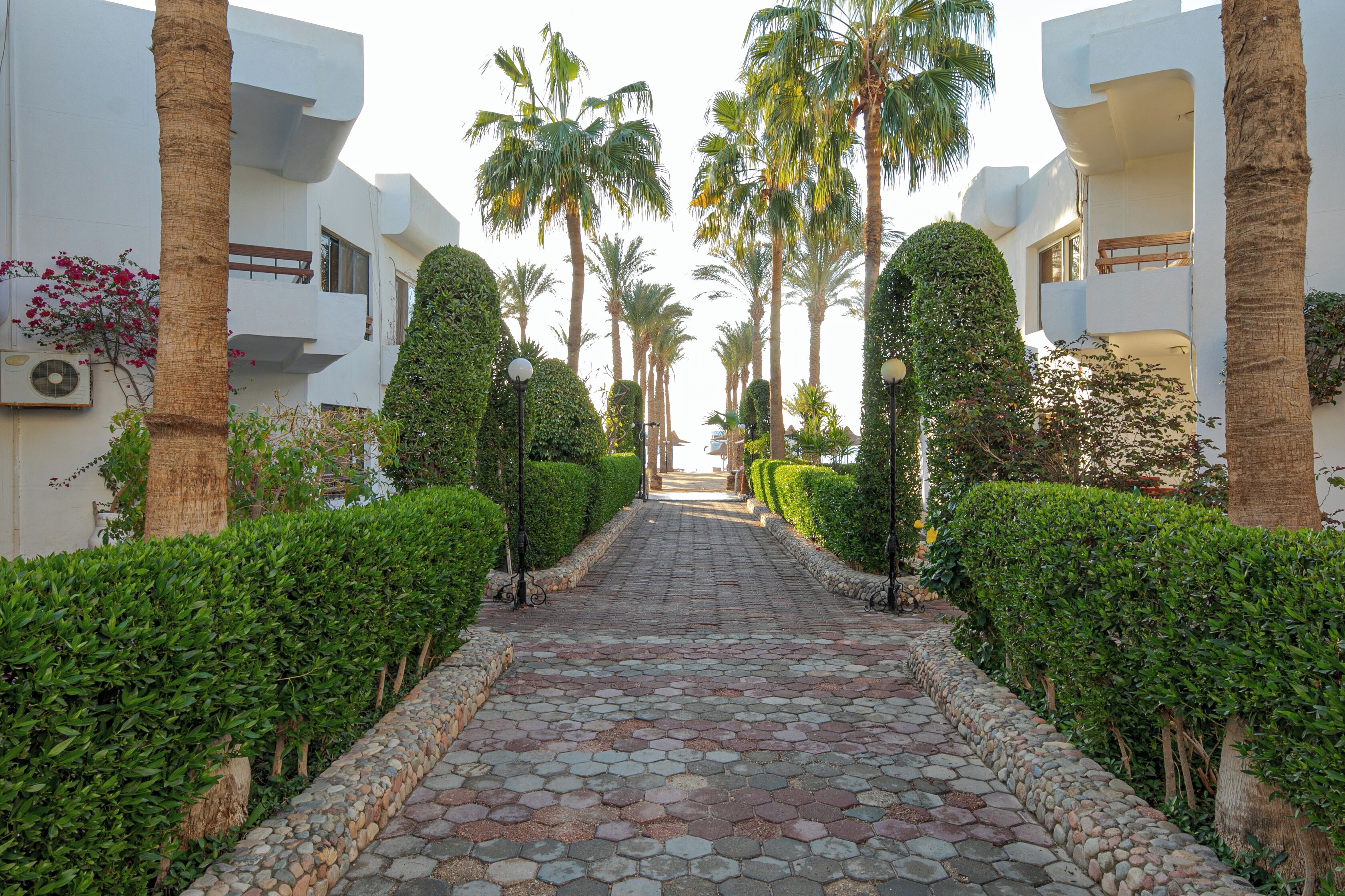 Photo - Marlin Inn Azur Resort