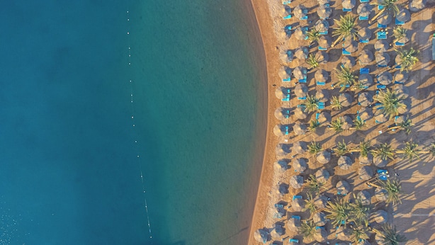 An aerial view of a beach with rows of palm trees and beach umbrellas. - Marlin Inn Azur Resort (Hurghada)