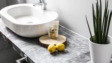 Chambre Triple, vue jardin | Salle de bain