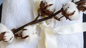 Tremannsrom, hageutsikt | Baderomsfasiliteter