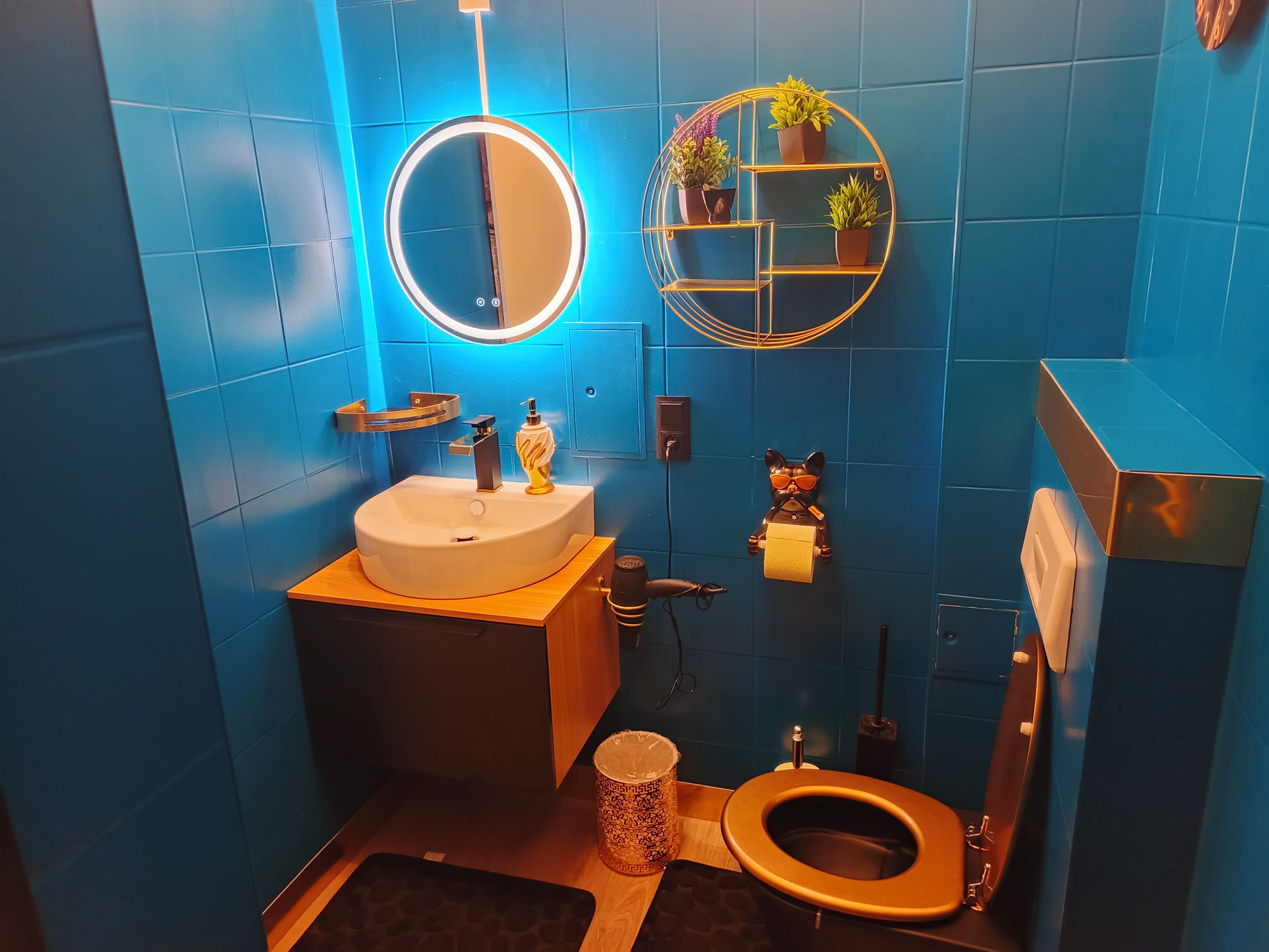 Un baño con un espejo redondo, un lavabo, un inodoro y una estantería con plantas.