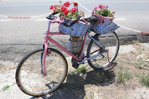 Detalle exterior