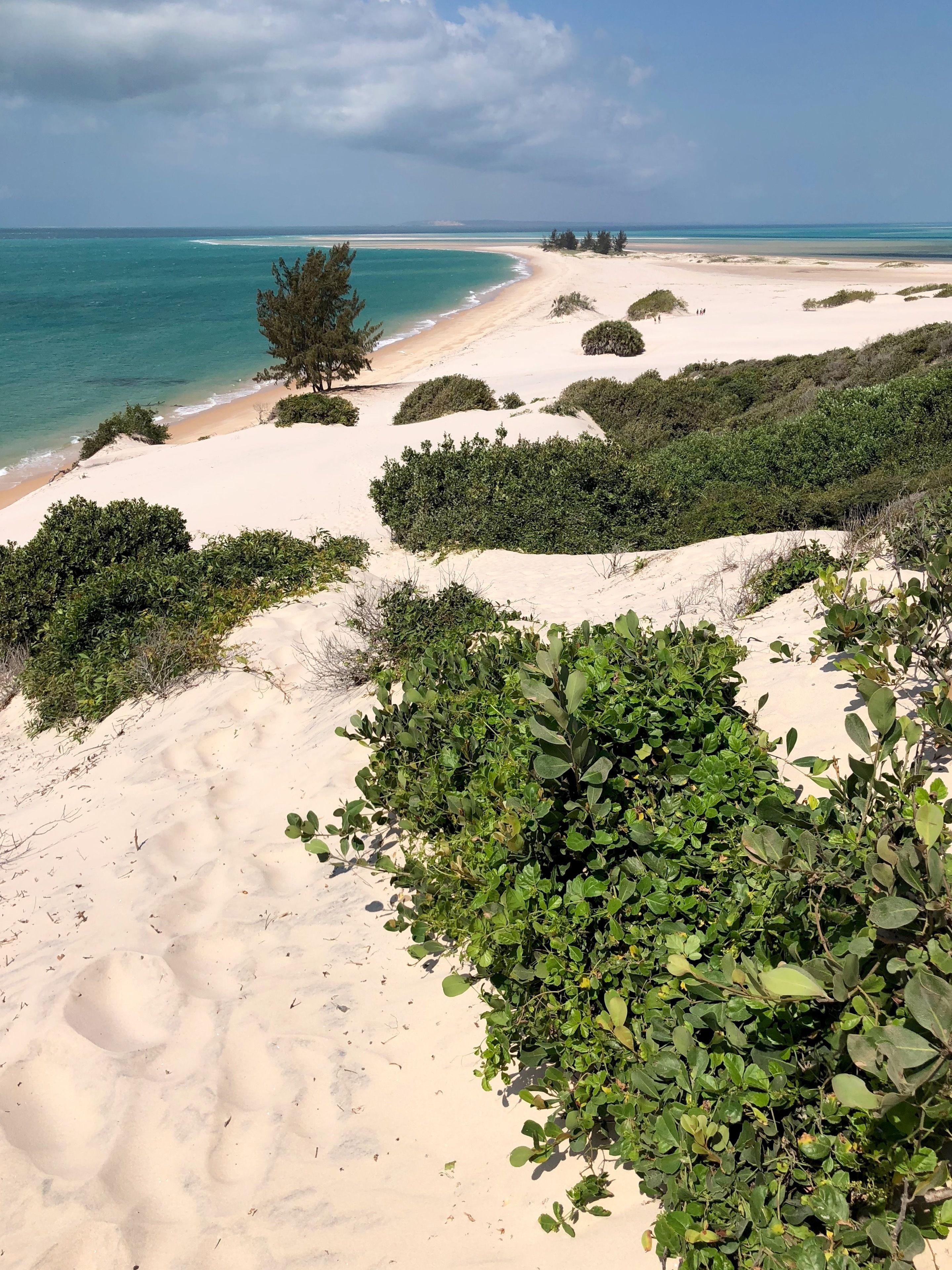 Una playa con aguas turquesas cristalinas, dunas arenosas y vegetación verde exuberante.