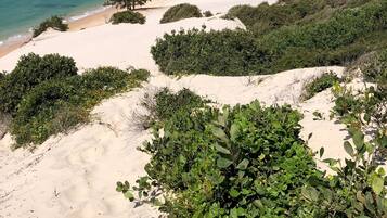 Una playa con aguas turquesas cristalinas, dunas arenosas y vegetación verde exuberante.