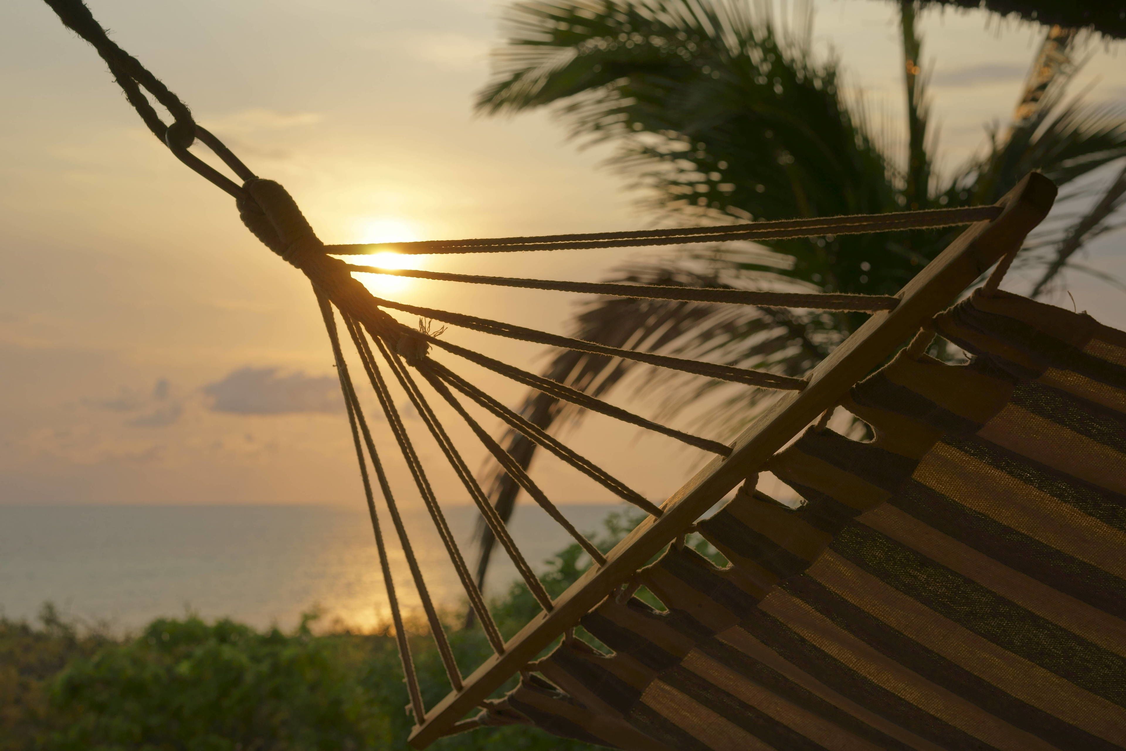 Un hamac suspendu à une structure en bois, offrant une vue sur le coucher de soleil et l’océan.