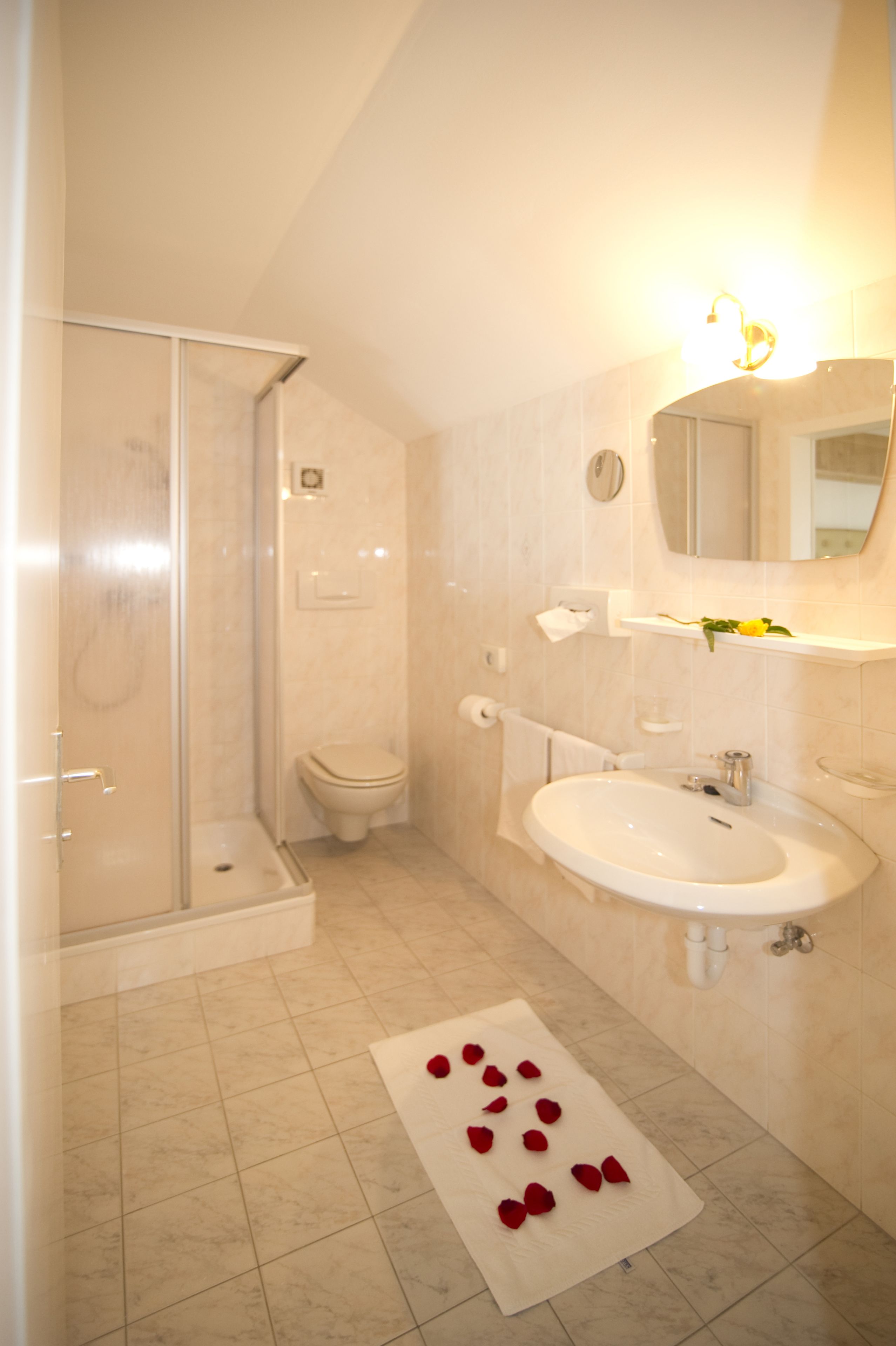 Een badkamer met een douche, toilet, wastafel en een handdoekhouder.