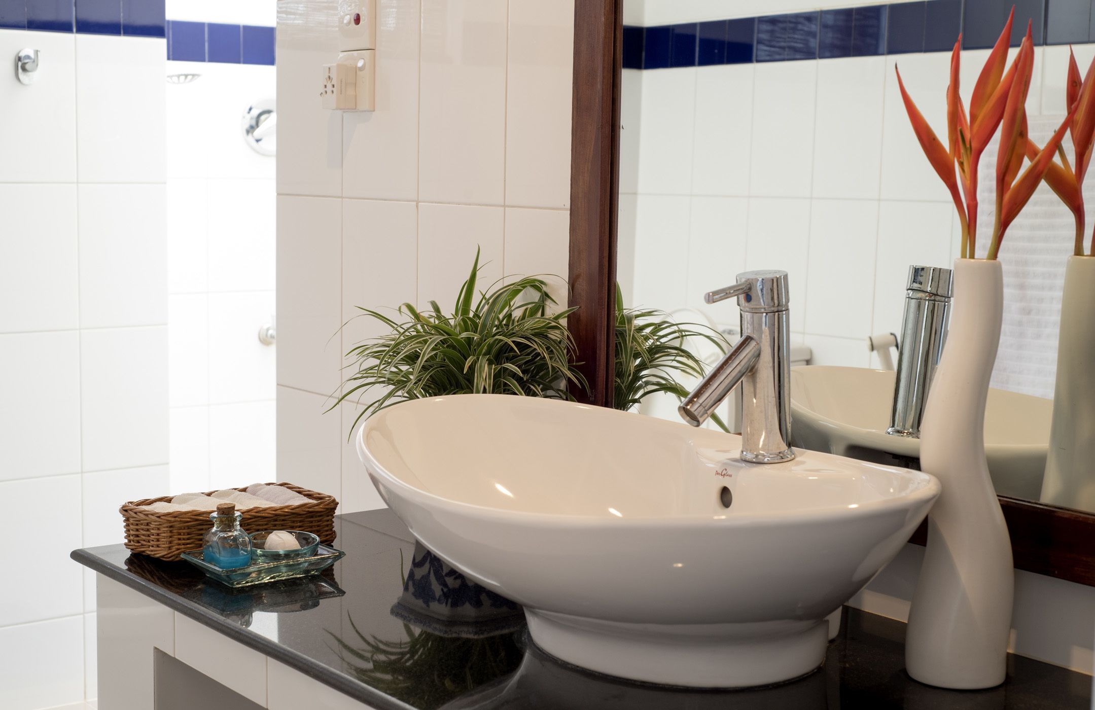 Une salle de bain avec un lavabo blanc, un miroir et une plante en pot.