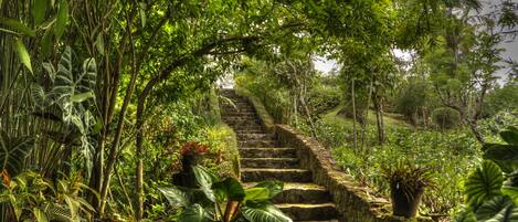 Overnattingsstedets uteområder
