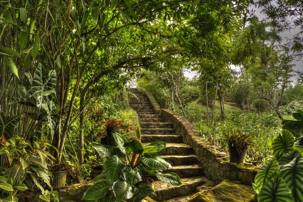 Overnattingsstedets uteområder