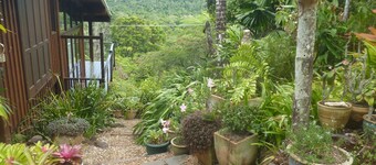 Daintree Holiday Homes - The Folly - Une retraite nature dans le Daintree